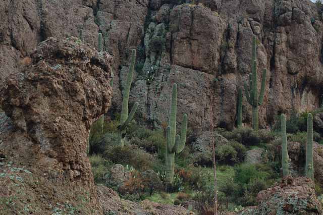 Magma Ridge